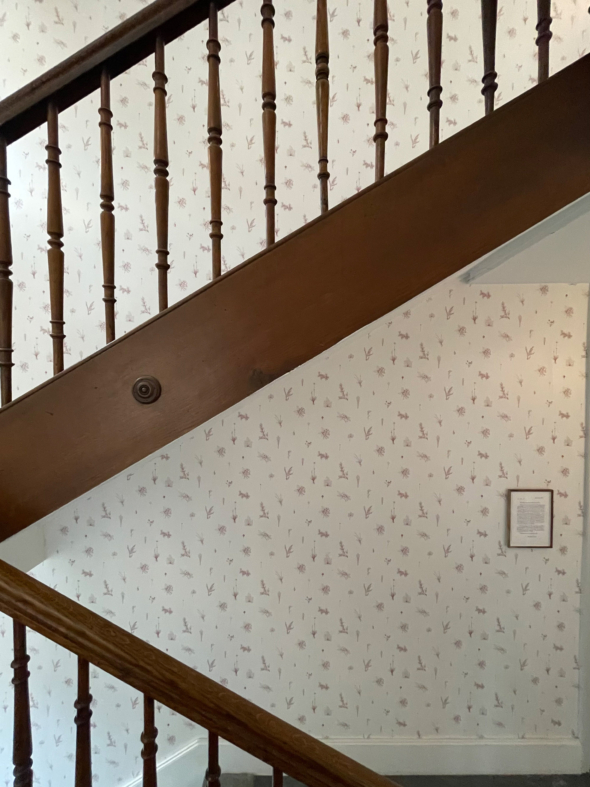 Vo dhan josefstrasse zurich