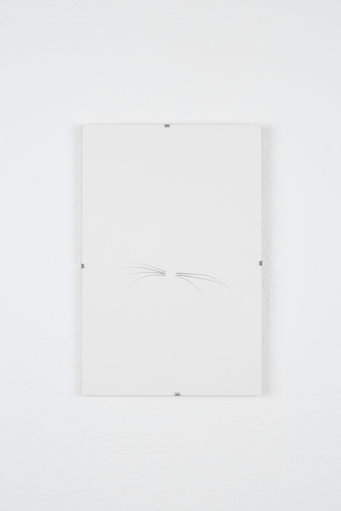 Dietmann anja emma bettina steinbruegge hamburg