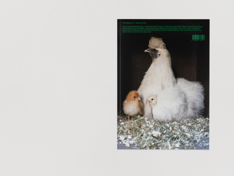 Dietmann pfeil 14 bettina steinbruegge hamburg