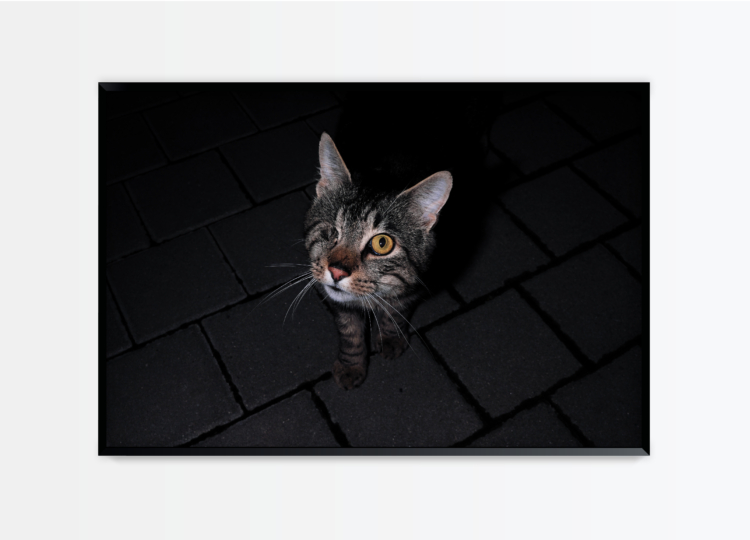 Henz thibaut untitled 14 photography bettina steinbruegge hamburg