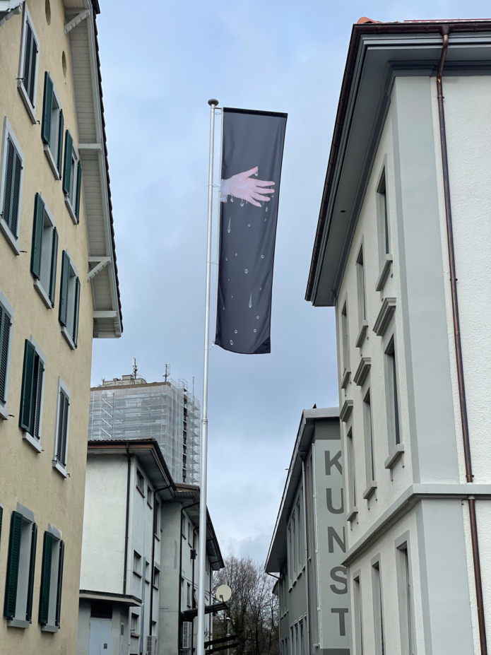 Muehlebach rhona this is excitement flag cahiers dartistes pro helvetia