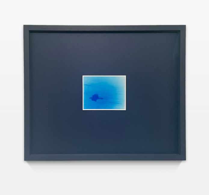 Muehlebach rhona to get in touch with crows still cahiers dartistes pro helvetia