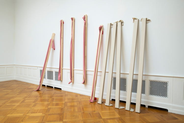 Knuckey david flag photo greg clement cahiers dartistes pro helvetia