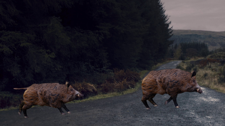 Muehlebach rhona excitement is not part of my feeling repertoire cahiers dartistes pro helvetia