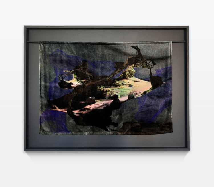 Muehlebach rhona neanderthal wall hanging II cahiers dartistes pro helvetia