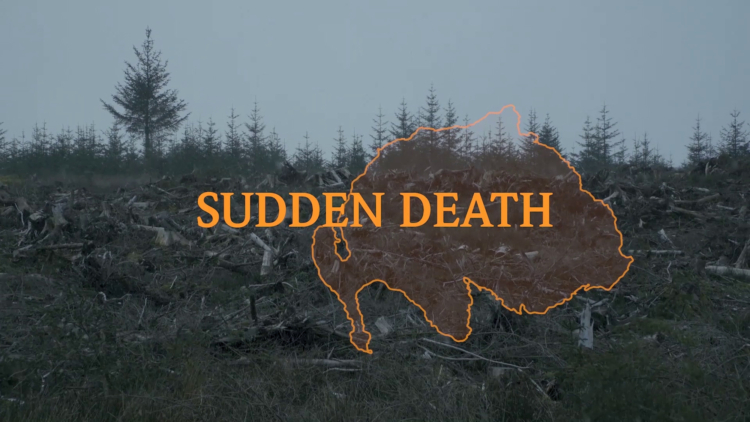Muehlebach rhona sudden death video cahiers dartistes pro helvetia