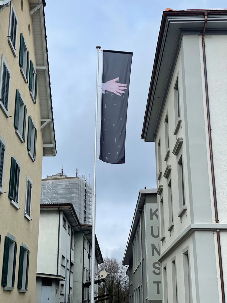 Muehlebach rhona this is excitement flag cahiers dartistes pro helvetia