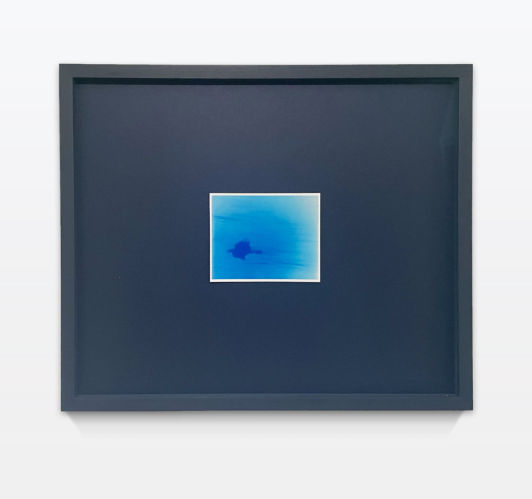 Muehlebach rhona to get in touch with crows still cahiers dartistes pro helvetia