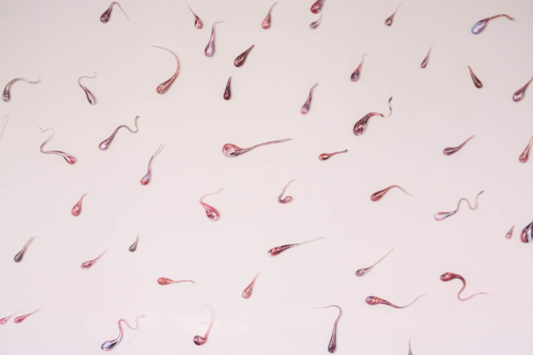 Zornio eva high tide low tide glass objects cahiers dartistes