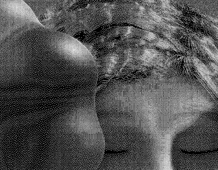 Dominik rafal maksio detail dslavs and tatars